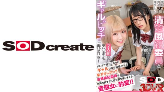 1073DSVR-1136 【VR】性格が真逆だけど仲良しな清楚風紀委員とギャルビッチの2人組にチ○ポを弄ばれる！ チ○ポが挿入されるとギャルは実は経験が少なく恥ずかしがって清楚風紀委員は気持ち良すぎて自ら腰を振りまくる変態女に豹変！！