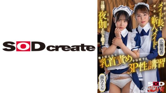 1073DSVR-1159 【VR】From the retiring maid captain to the novice new maid, inheriting daily night service and teaching refined nipple torture 3P sex education. Yukari Hirose Sora Nanano