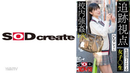 1073DSVR-1273 【VR】【Chase POV】Sassy Hot Chick●Gen Hinako-chan School Forced●VR