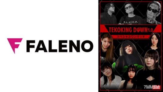 406FTHT-185 TEKOKING DOWNLOAD 1.0