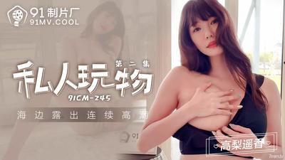 Jelly Media 91CM-245 プライベート慰み者 2 ～高橋はるか【魔導】