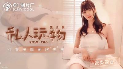 Jelly Media 91CM-246 プライベート慰み者 3 ～高橋はるか【魔導】