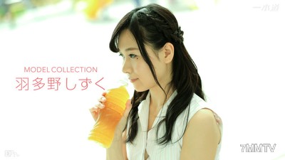 101217_591 Model Collection Shizuku Hatano